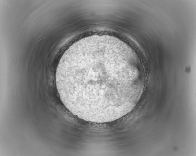 X0000093110823200710241240