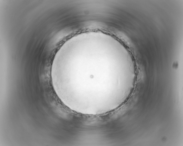 X0000093110824200710241240