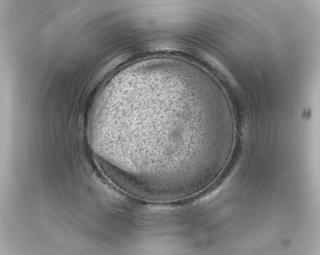 X0000093110825200710241240