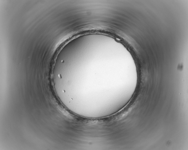 X0000093110826200710241240