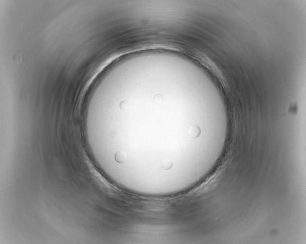 X0000093110828200710241240