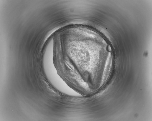 X0000093110829200710241240