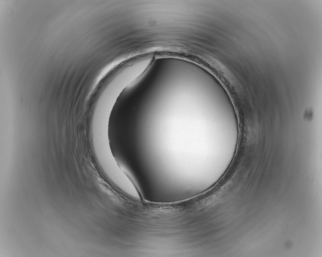 X0000093110830200710241240