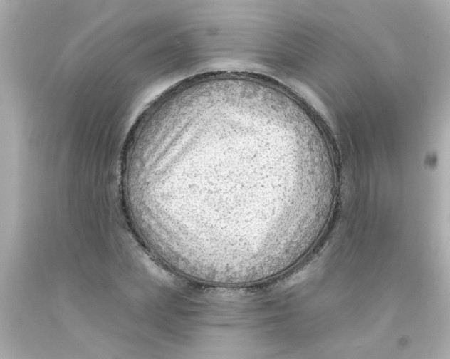 X0000093110831200710241240