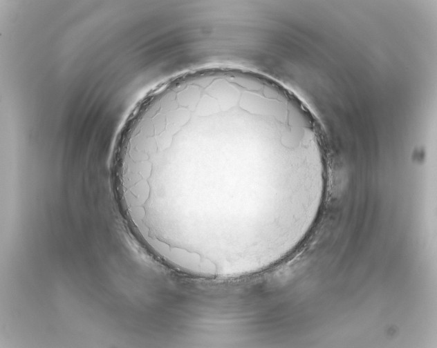 X0000093110832200710241240