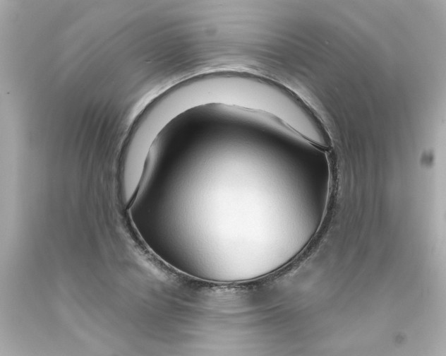 X0000093110834200710241240