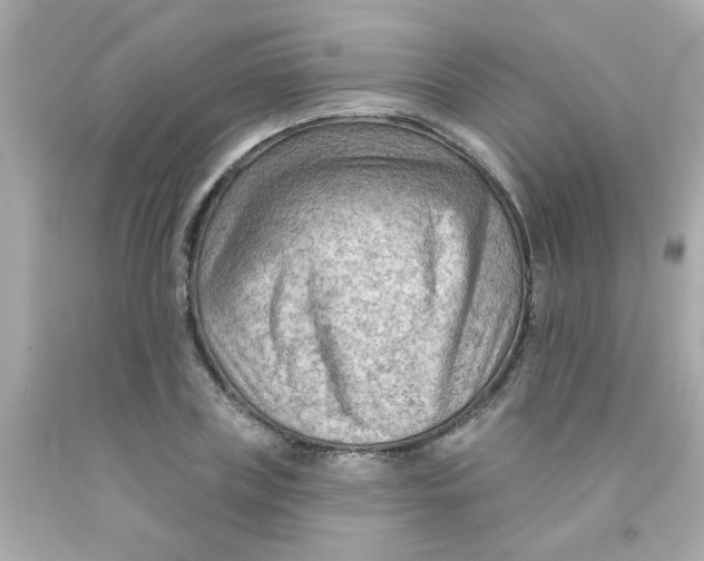 X0000093110835200710241240