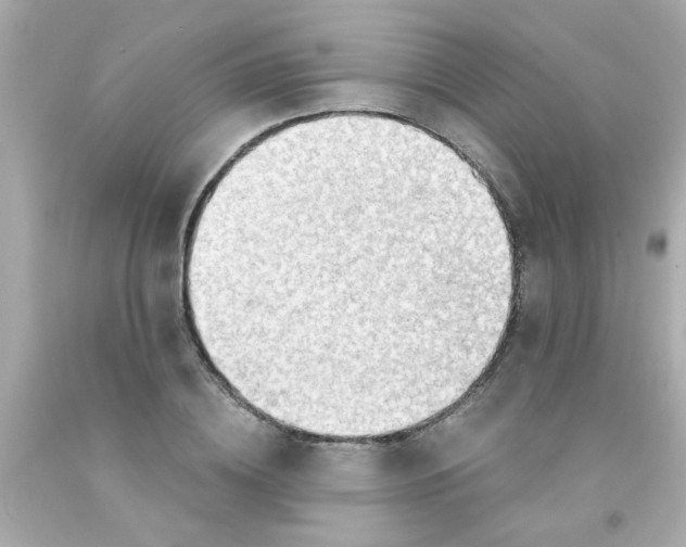 X0000093110836200710241240