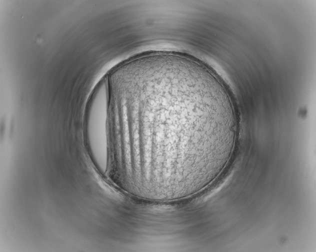 X0000093110837200710241240