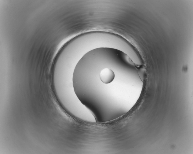 X0000093110838200710241240