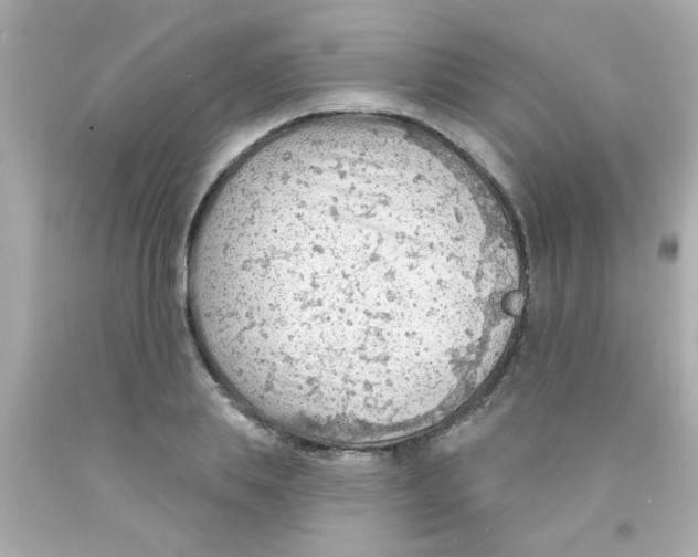 X0000093110839200710241240