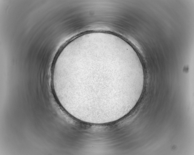 X0000093110840200710241240