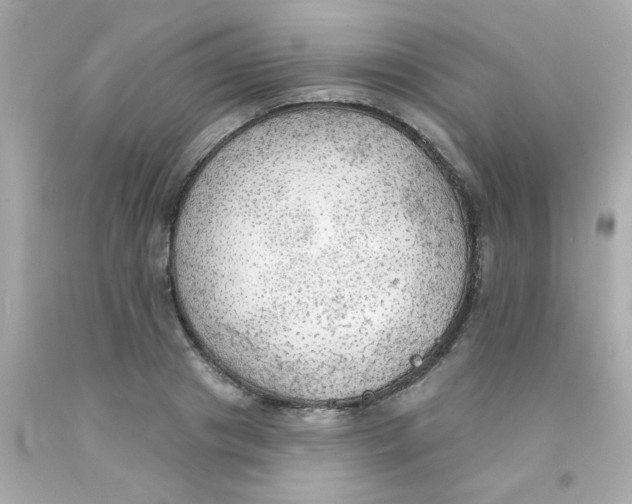 X0000093110841200710241240