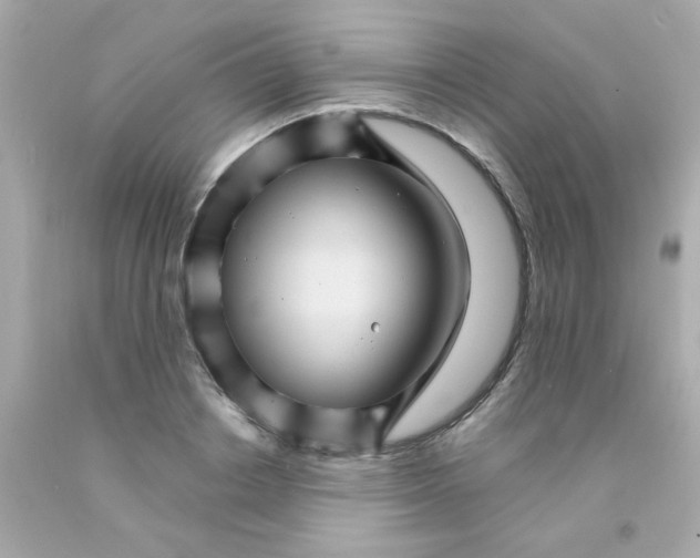 X0000093110842200710241240