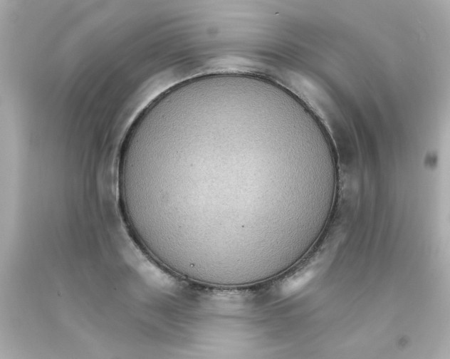 X0000093110843200710241240