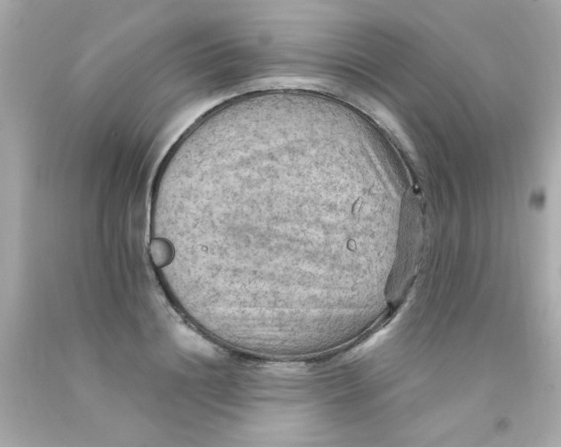 X0000093110844200710241240