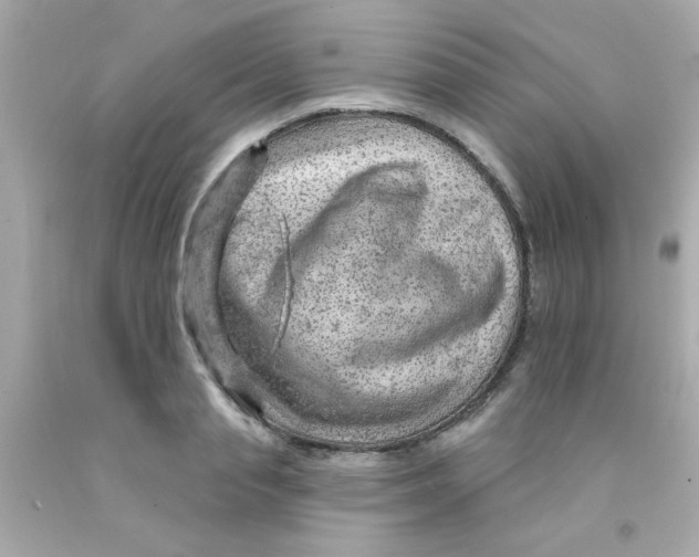 X0000093110845200710241240