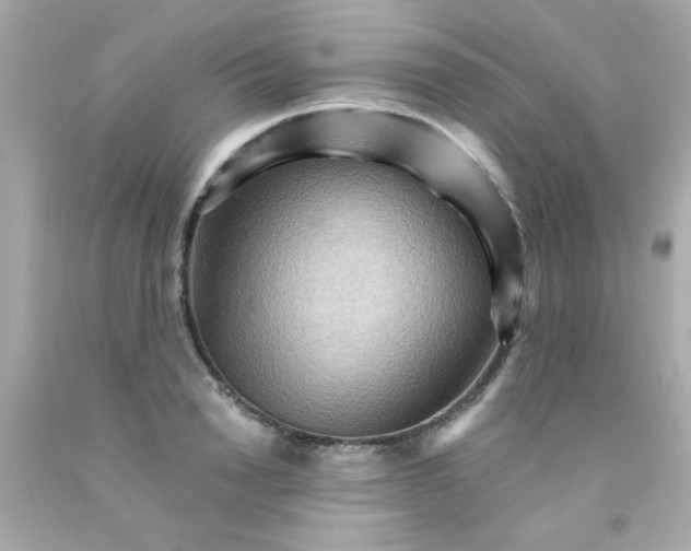 X0000093110846200710241240