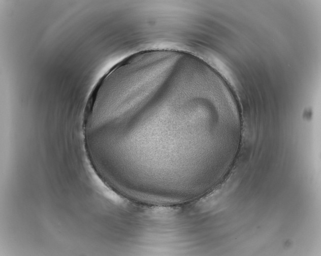 X0000093110847200710241240