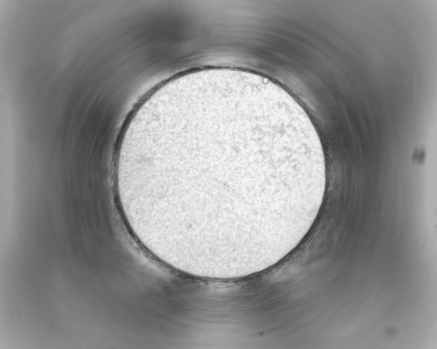 X0000093110848200710241240