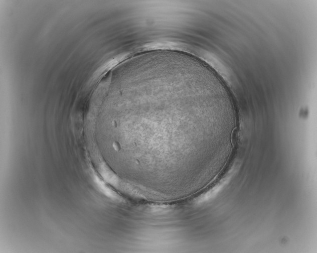 X0000093110849200710241240