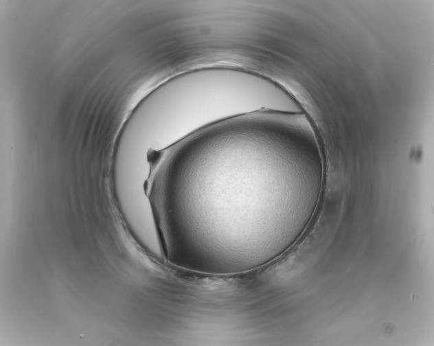 X0000093110850200710241240