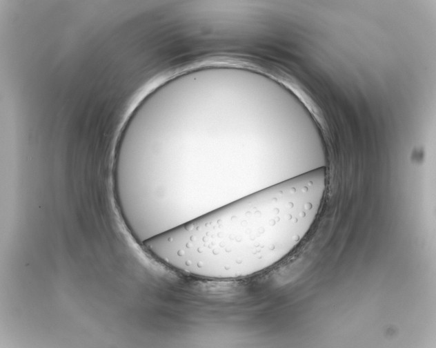 X0000093110853200710241240