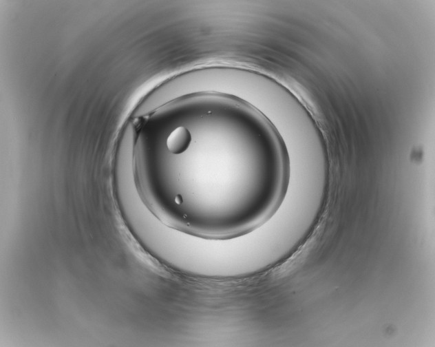 X0000093110854200710241240