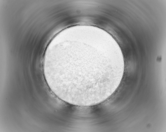 X0000093110856200710241240