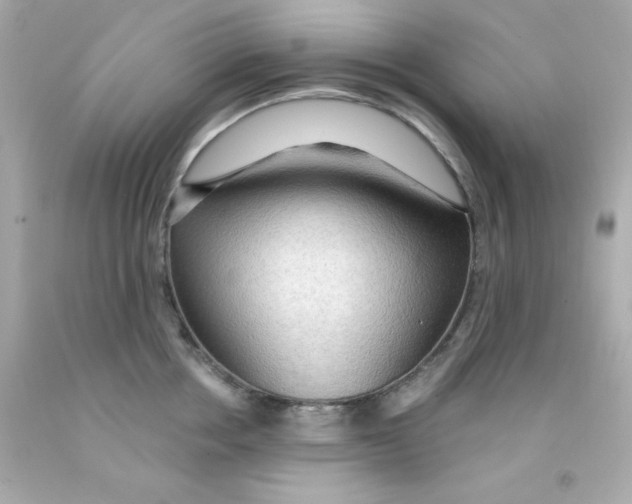 X0000093110858200710241241