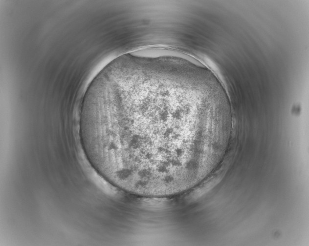 X0000093110859200710241241