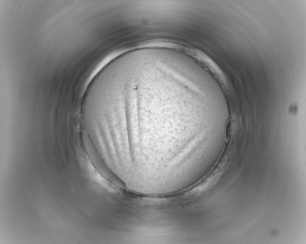 X0000093110860200710241241