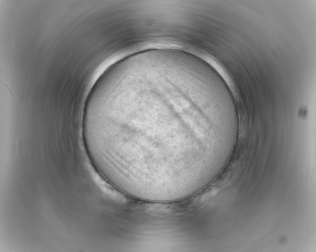 X0000093110861200710241241