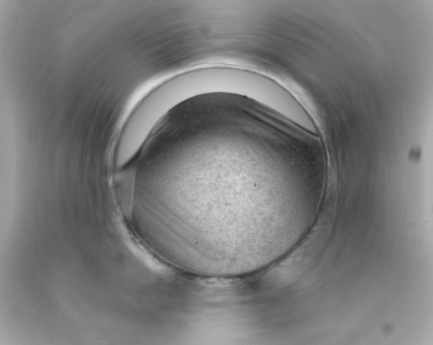 X0000093110862200710241241