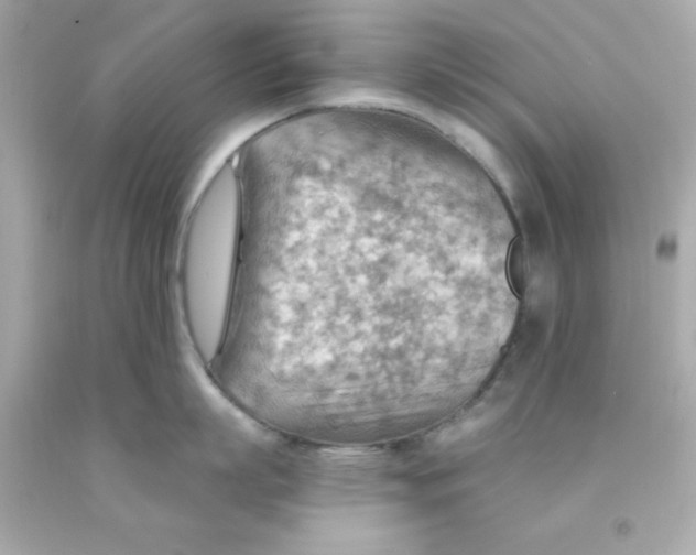 X0000093110863200710241241