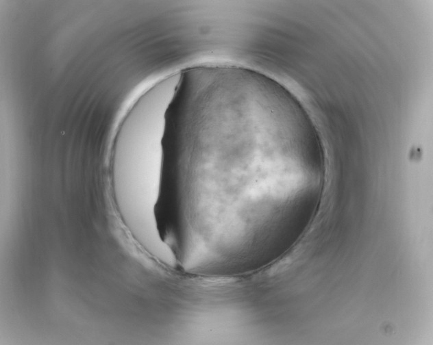 X0000093110864200710241241