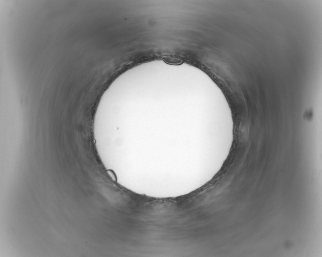 X0000093110865200710241240