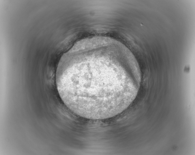 X0000093110866200710241240