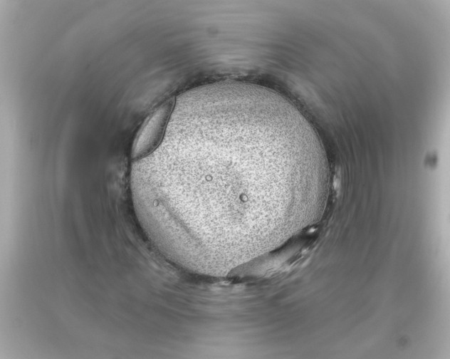 X0000093110867200710241240