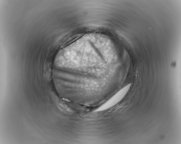 X0000093110868200710241240