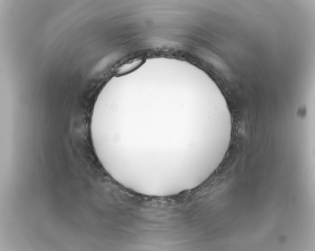 X0000093110869200710241240