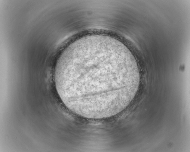 X0000093110870200710241240