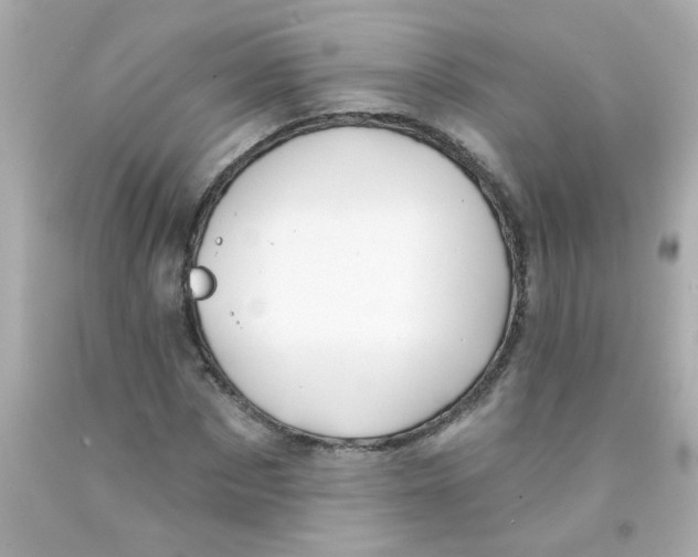 X0000093110873200710241240