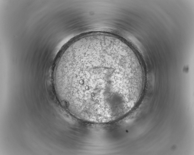 X0000093110875200710241240