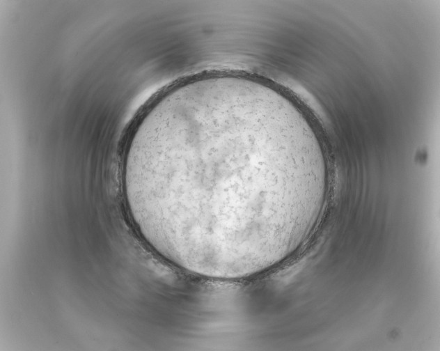 X0000093110878200710241240