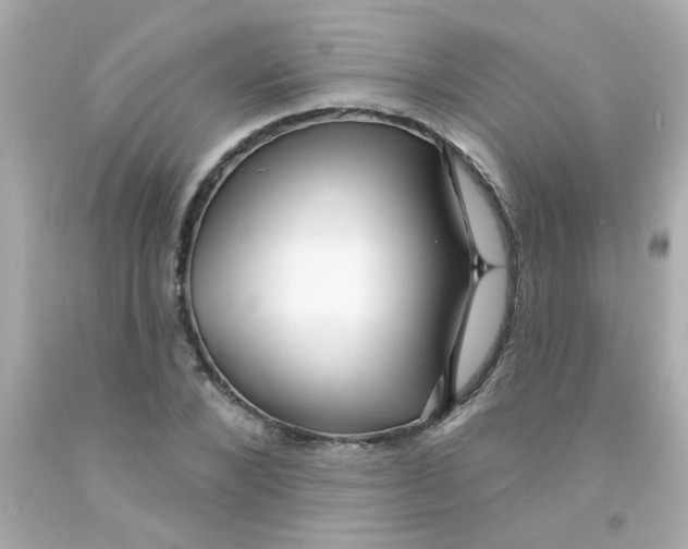 X0000093110880200710241240