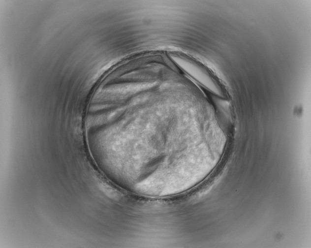 X0000093110881200710241240