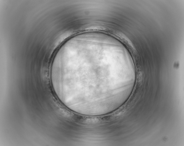 X0000093110882200710241240