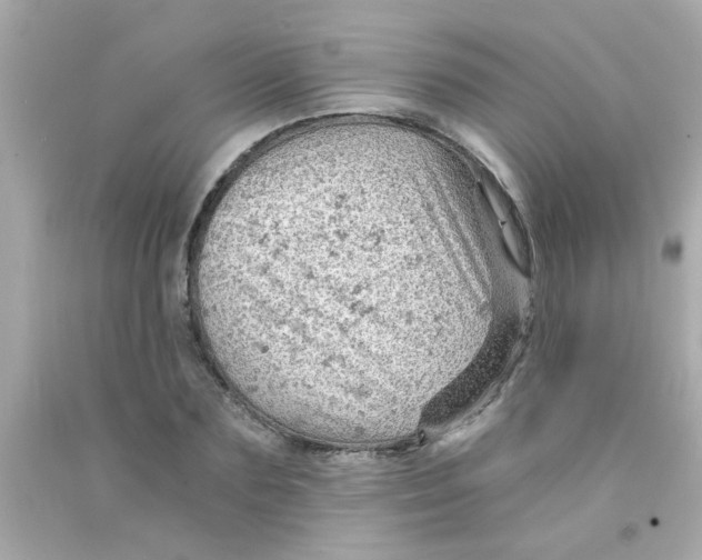 X0000093110883200710241240