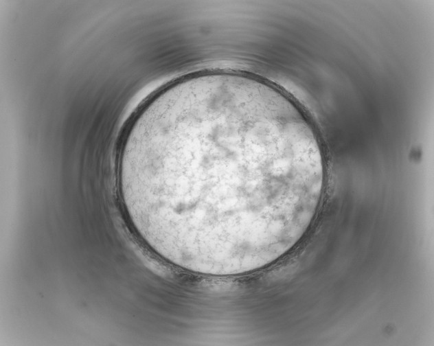 X0000093110886200710241240